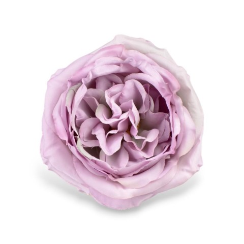 PICK ROSA CABBEGE LILAC